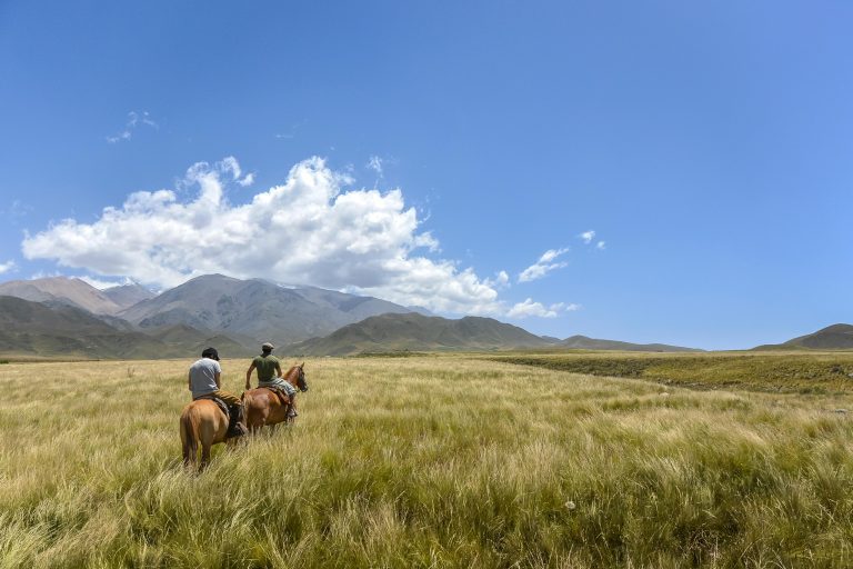 Argentina Secrets of Tango and Wine Culture: From Buenos Aires to Mendoza